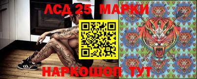 Альфа ПВП Аргун