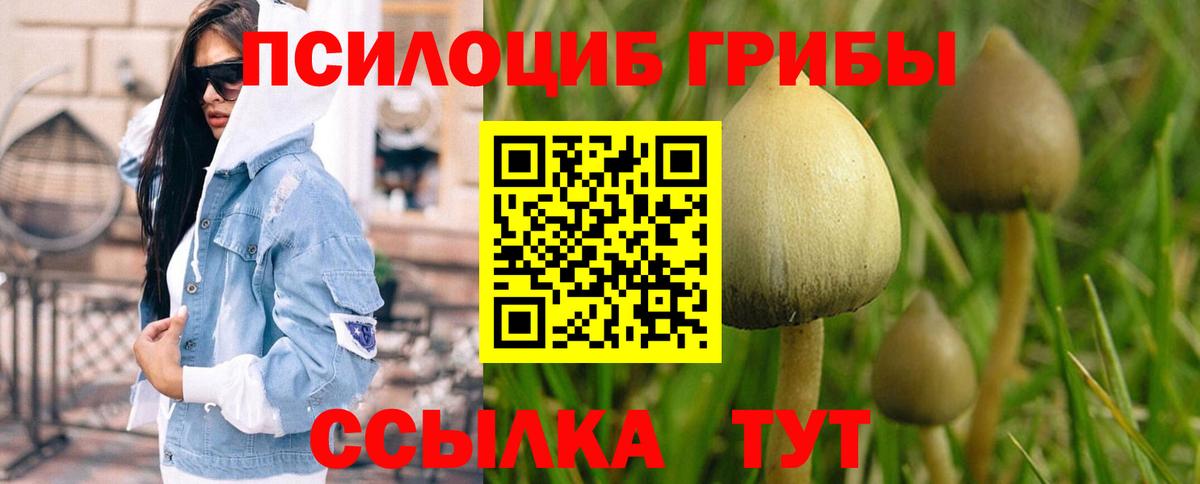 Псилоцибиновые грибы мухоморы Борисоглебск