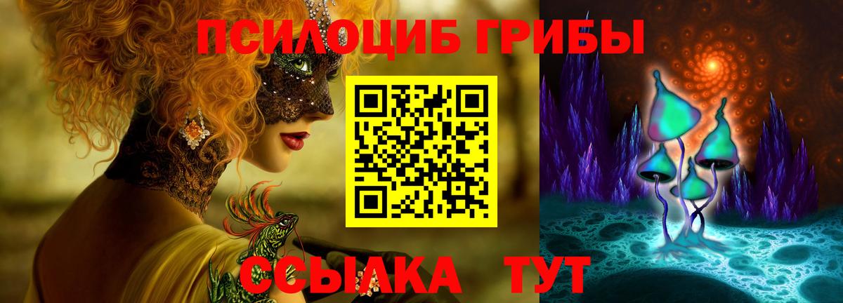 Борисоглебск  Псилоцибиновые грибы GOLDEN TEACHER  Вход с VPN 